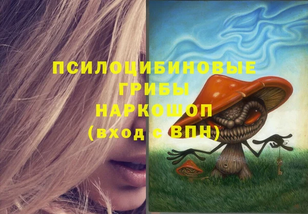 гидра Арсеньев