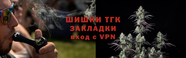гидра Арсеньев