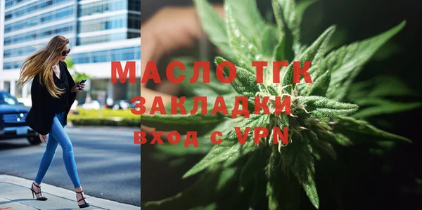 гидра Арсеньев