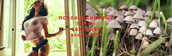дурь Аркадак