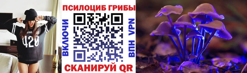 Галлюциногенные грибы ЛСД  купить наркотики цена  Севск 